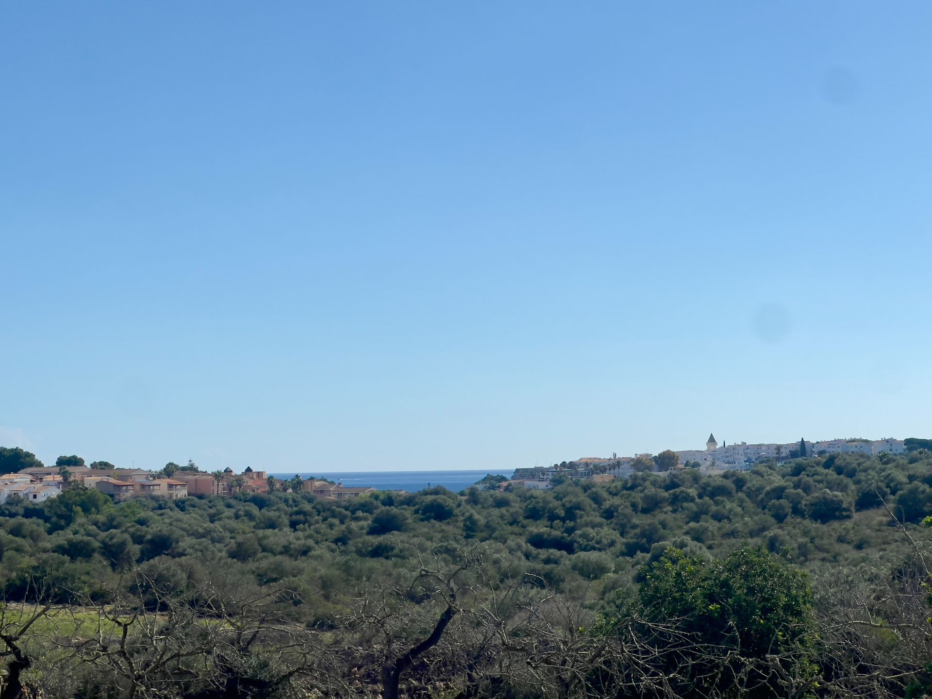 Manacor